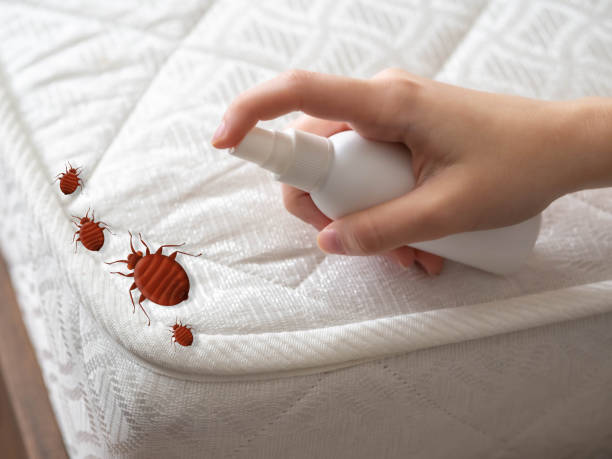 Emergency Pest Control Services in Resaca, GA